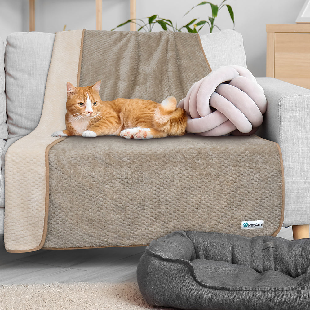 Extra Large Waterproof Dog Blanket - Reversible & Washable Plush Sofa Protector for Large Pets - 60x80 Taupe Beige