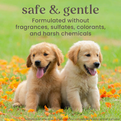 Soothing Natural Anti-Itch Spray for Dogs & Puppies - 10 Oz.